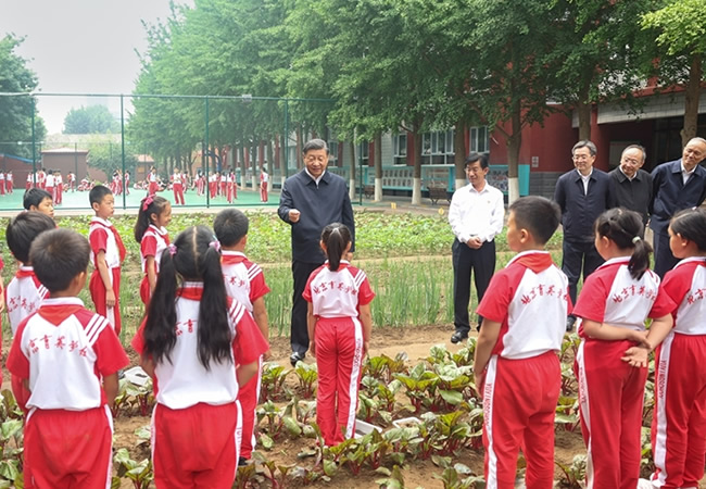 085850-354323.jpg 5.jpg