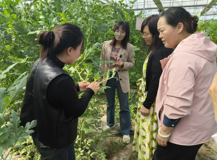 054219-711573.jpg 00.jpg